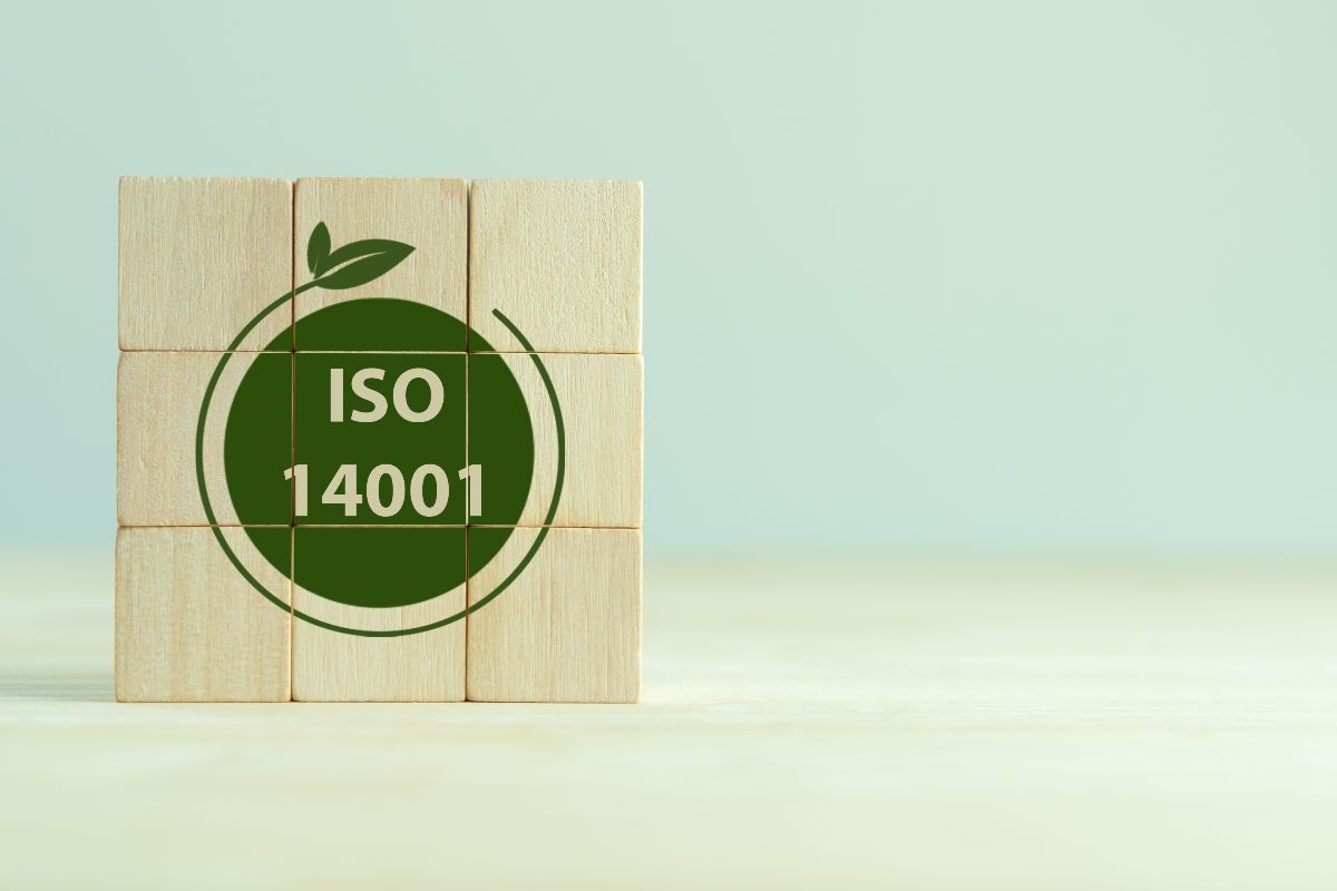 Normativa ISO 14001: Impacto del embalaje en la auditoría ambiental
